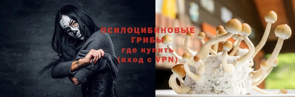 спиды Алексин