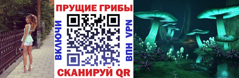 Галлюциногенные грибы Psilocybe  цены   Аркадак 